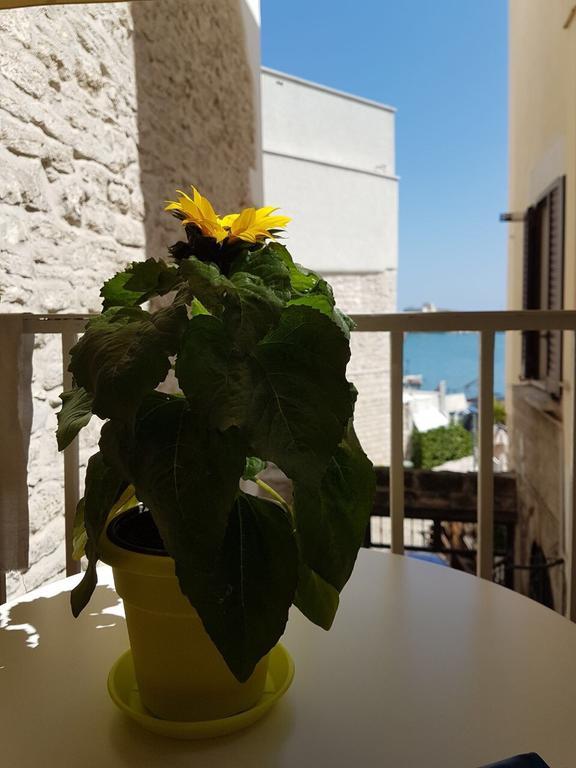 La Banchina Holiday Rooms Trani Exteriér fotografie