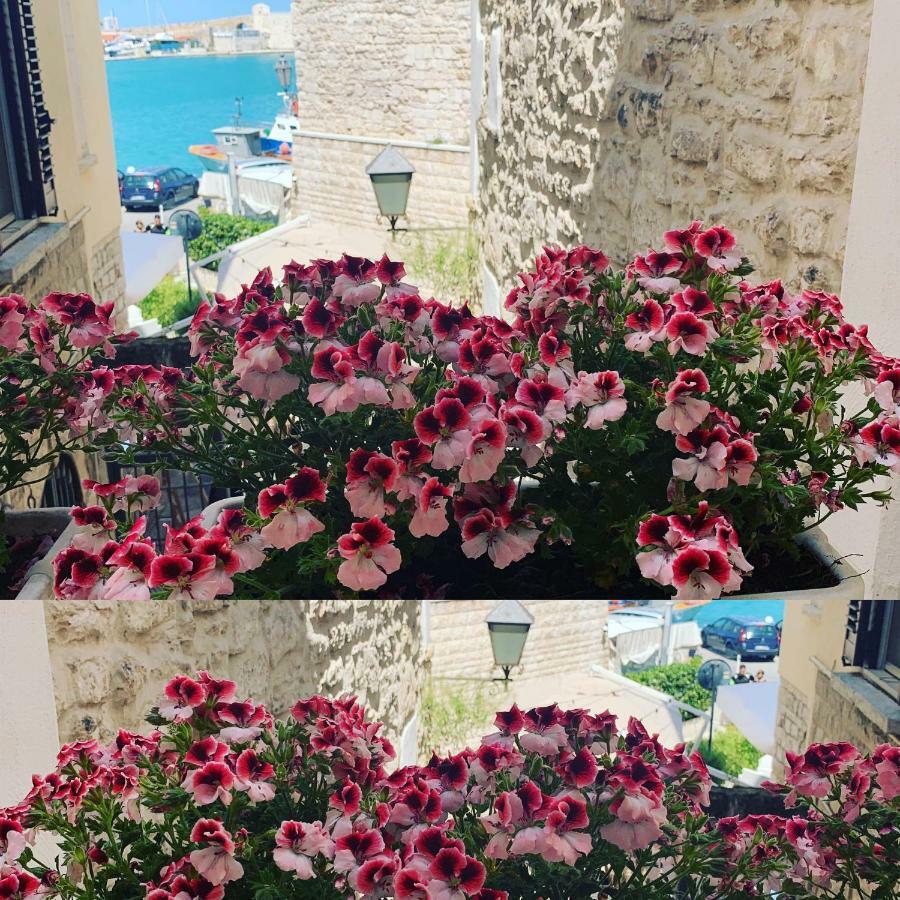 La Banchina Holiday Rooms Trani Exteriér fotografie